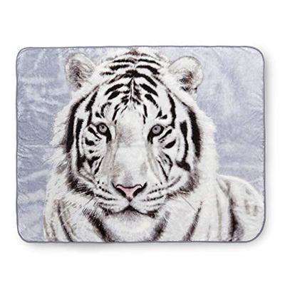 Shavel Hi Pile Luxury Oversized Throw, White Tiger, 60x80