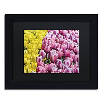 Tulip Heaven by Kurt Shaffer, Black Matte, Black Frame 11x14-Inch