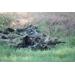 Red Rock Outdoor Gear Ghillie Blind Camouflage Netting, Desert, 5 X 12-Feet